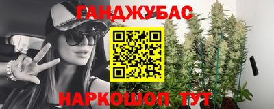 МДПВ Новодвинск