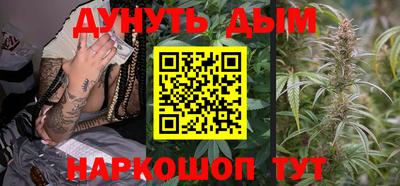 МДПВ Новодвинск