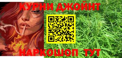 шишки Новокубанск