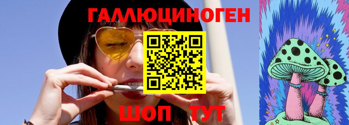 Псилоцибиновые грибы Psilocybine cubensis  закладка  Чистополь  Вход с VPN  Галлюциногенные грибы Magic Shrooms 